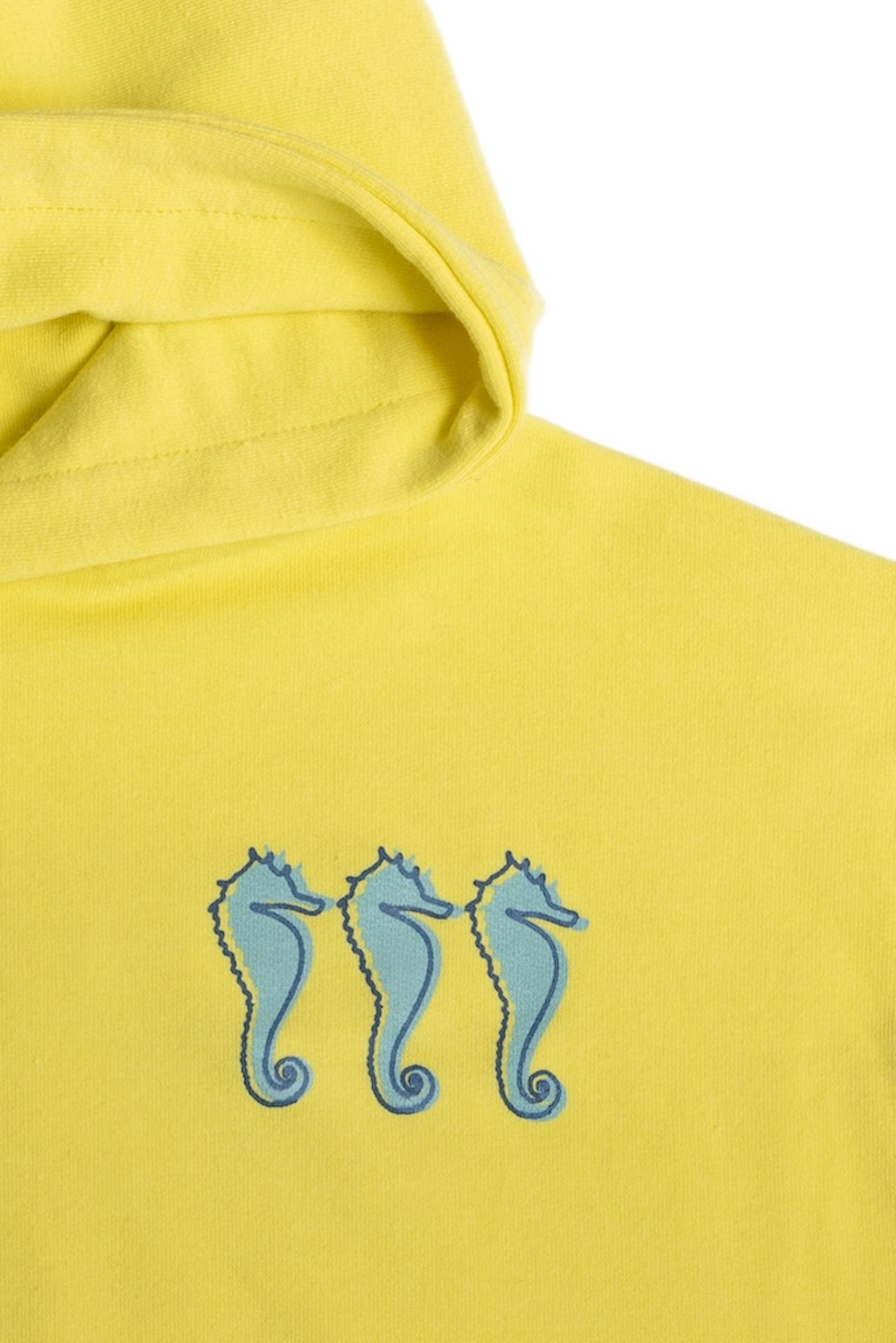 SEAHORSES HOODIE